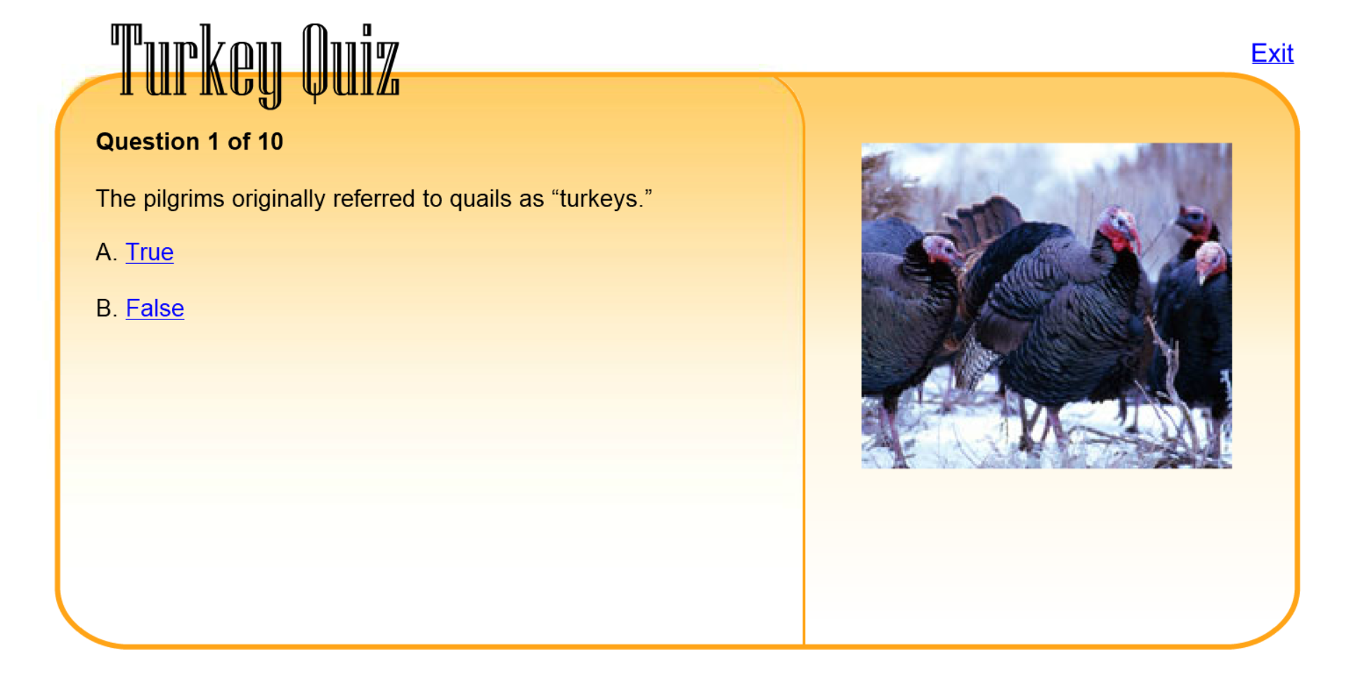 Turkey Quiz