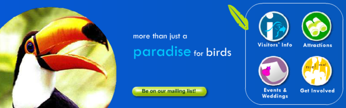 Singapore Jurong Bird Park Website Intro (2006)