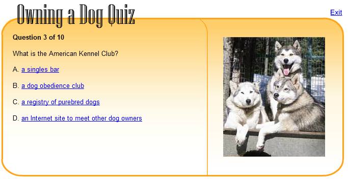 Owning a Dog Quiz