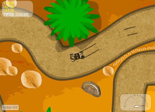 Desert Race