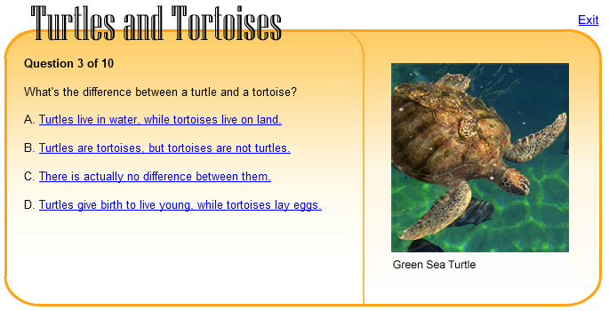 Turtle and Tortoises Quiz