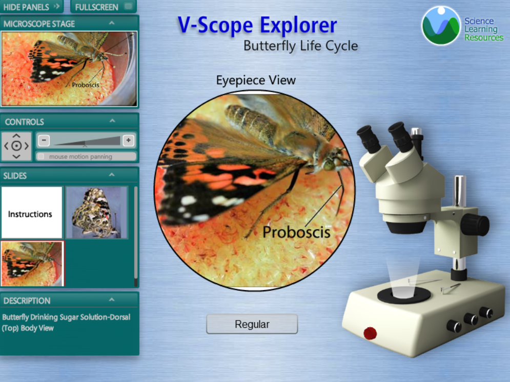 V-Scope Explorer: Butterfly Life Cycle