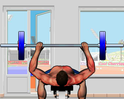 Bench Press