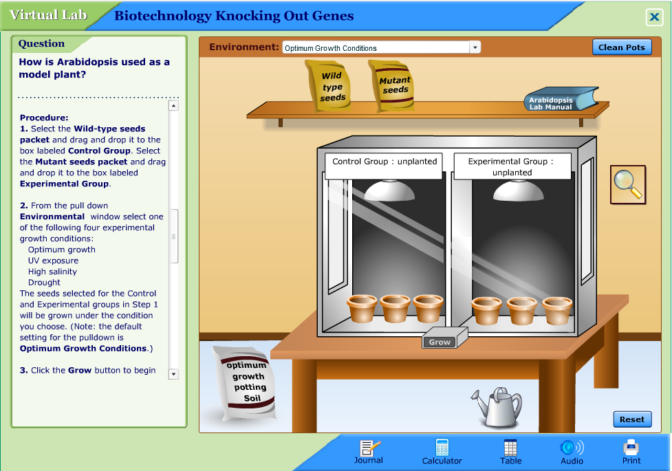 Biotechnology Knocking Out Genes