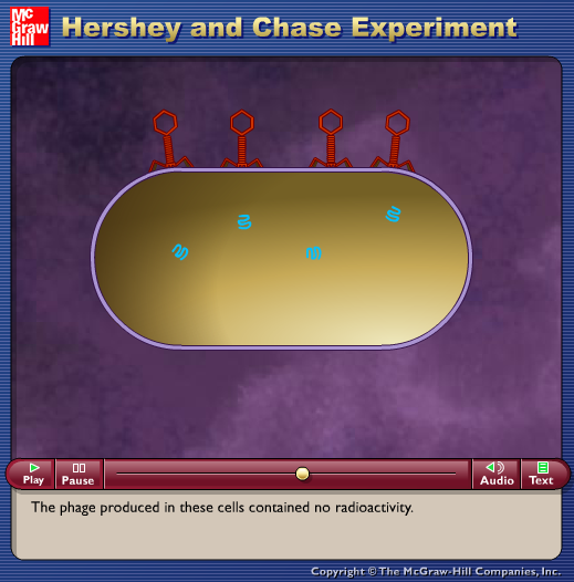 Hershey and Chase Experiment