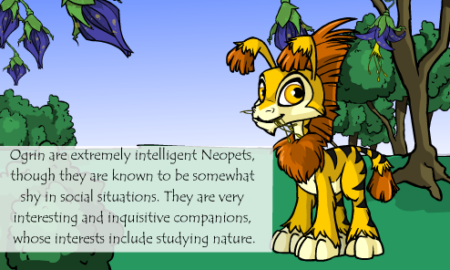 Neopet Preview: Ogrin