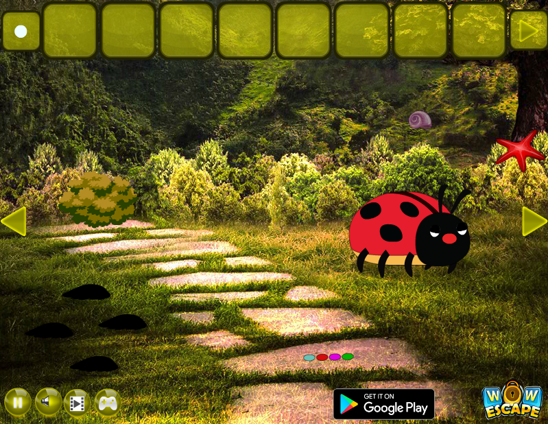 The Lost Terrain Escape