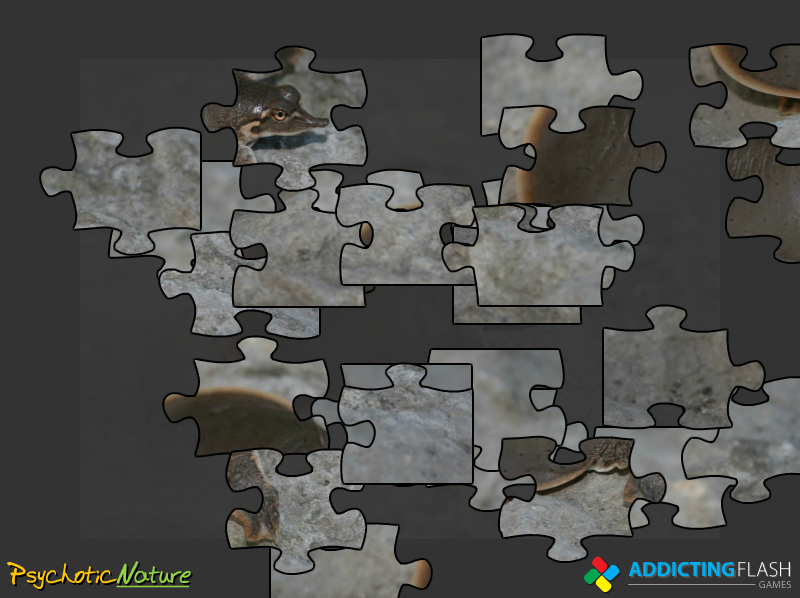 Smooth Softshell Jigsaw