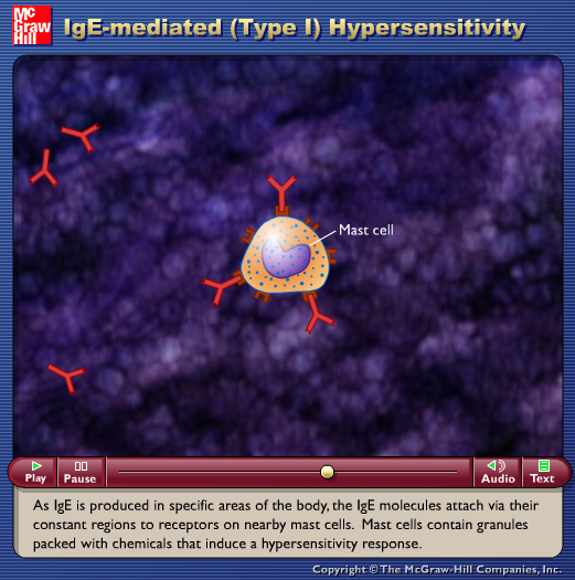 IgE-mediated (Type 1) Hypersensitivity