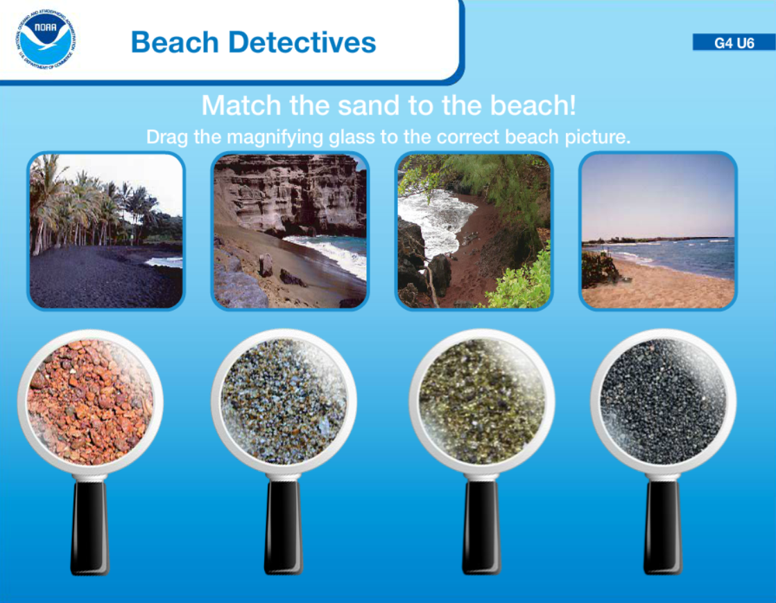 Beach Detectives