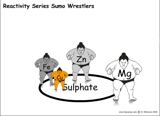 Reactivity Series Sumo Wrestlers