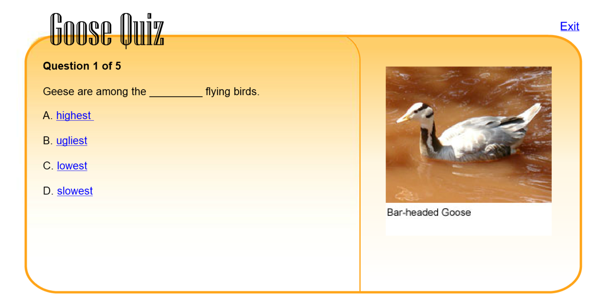 Goose Quiz