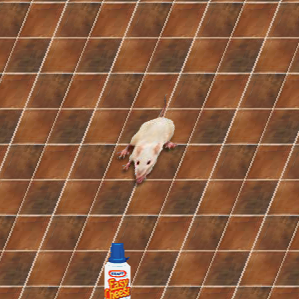 Skewed Floor Mouse