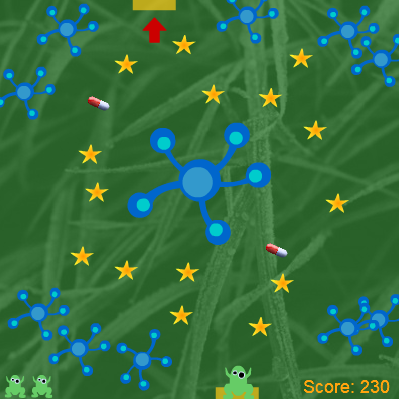 Starfrosch da schau her