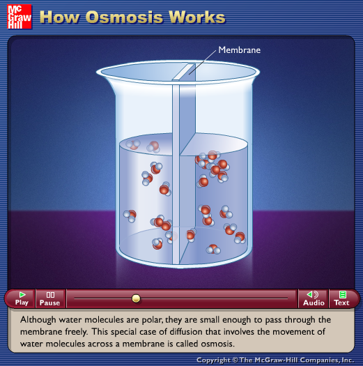 How Osmosis Works