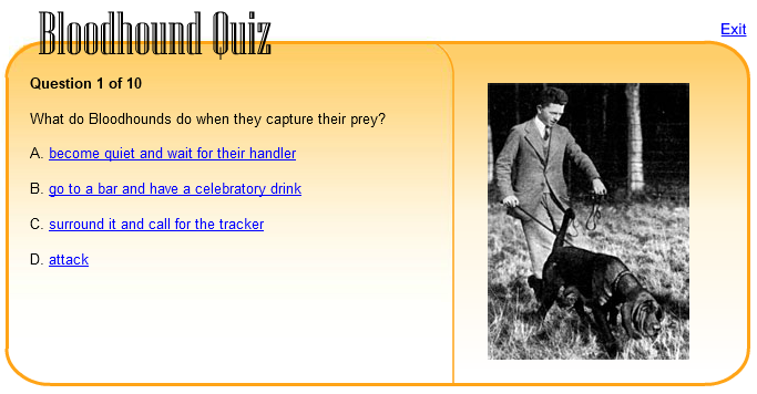 Bloodhound Quiz