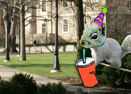 Birthday Squirrels