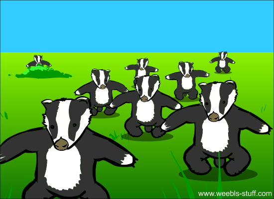 Badgers