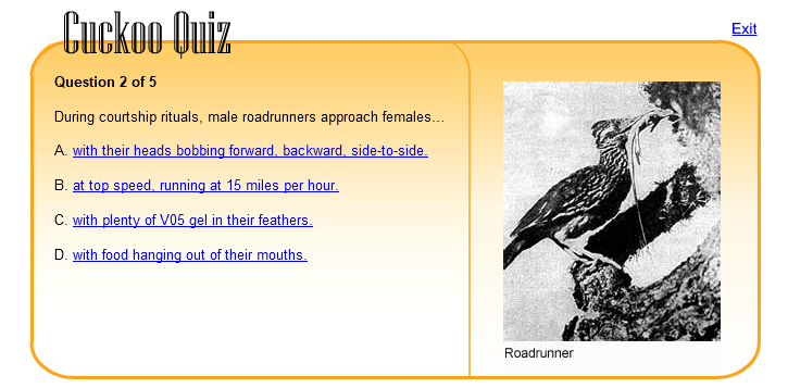 Cuckoo Quiz