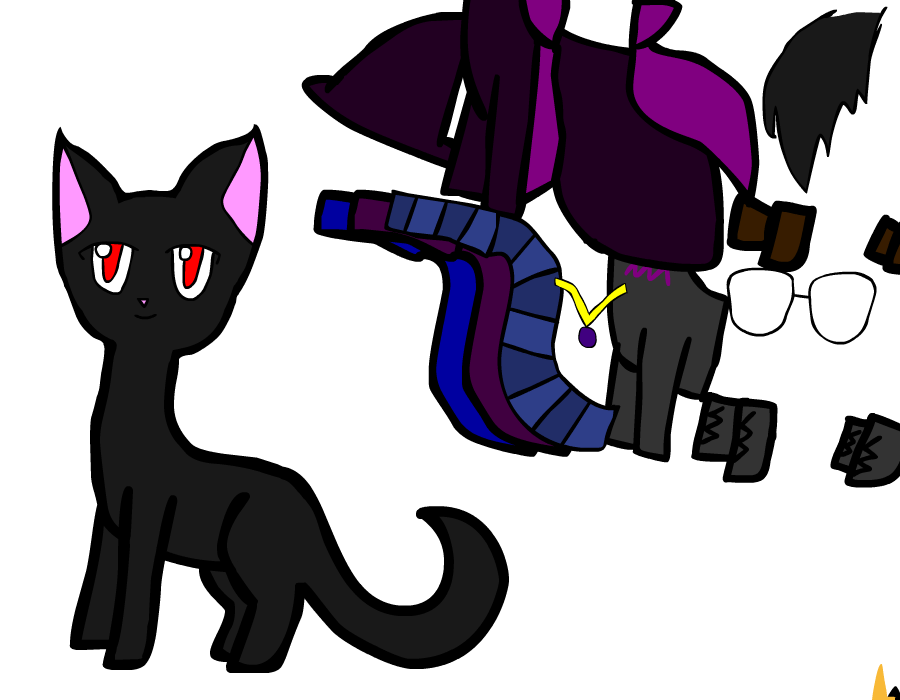 Black Cat Dress up