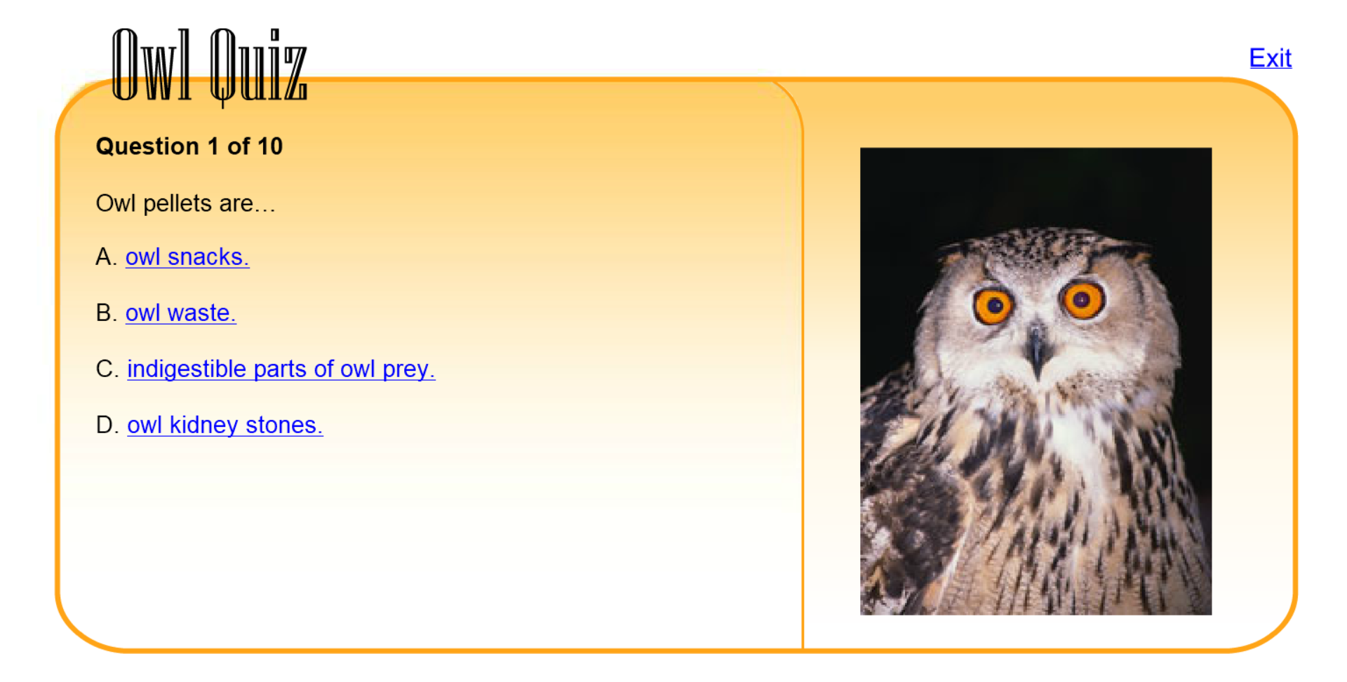 Owl Quiz