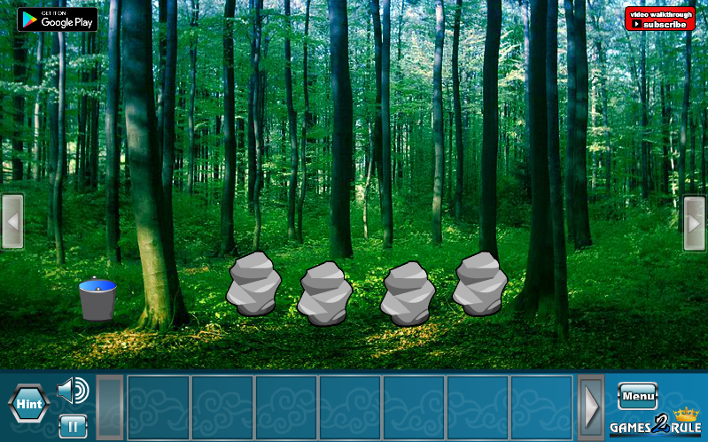 Rescue Raccoon from Forest