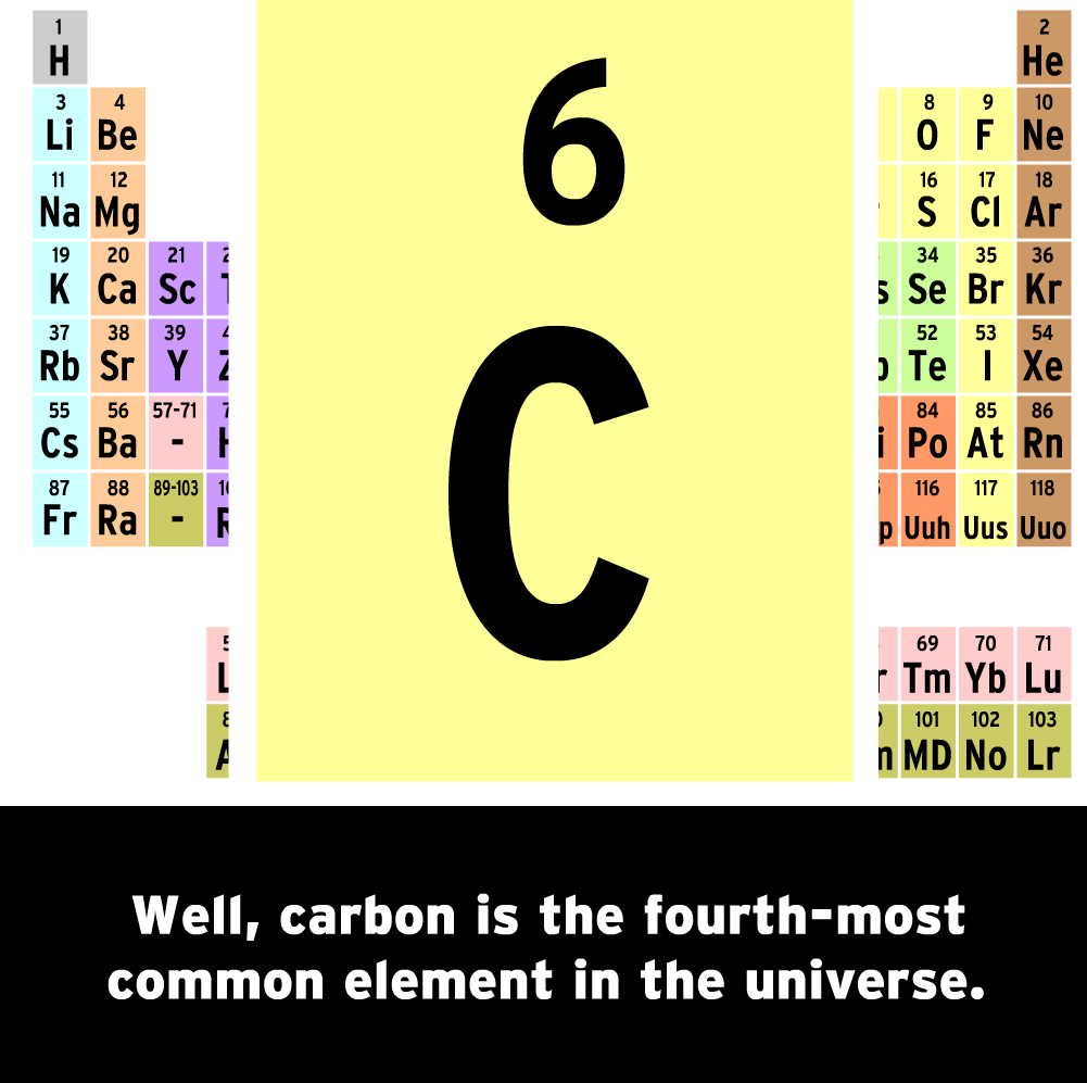 The Mysteries of Life With Tim & Moby: Carbon Cycle
