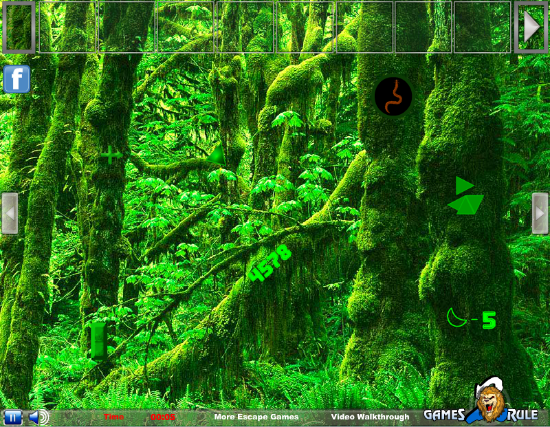 Nature Green Forest Escape