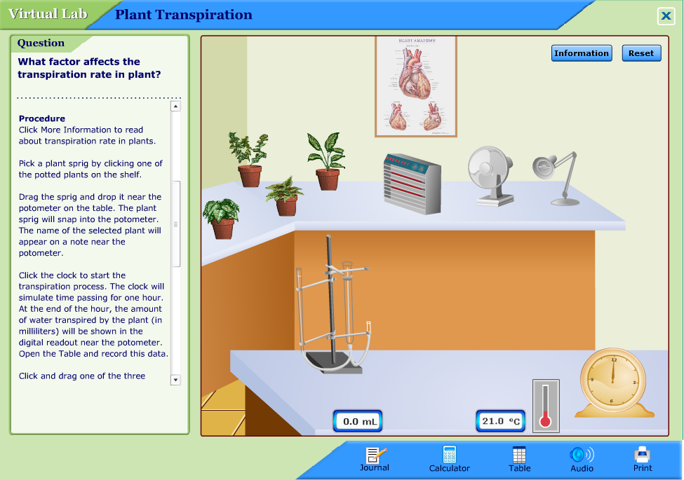 Plant Transpiration