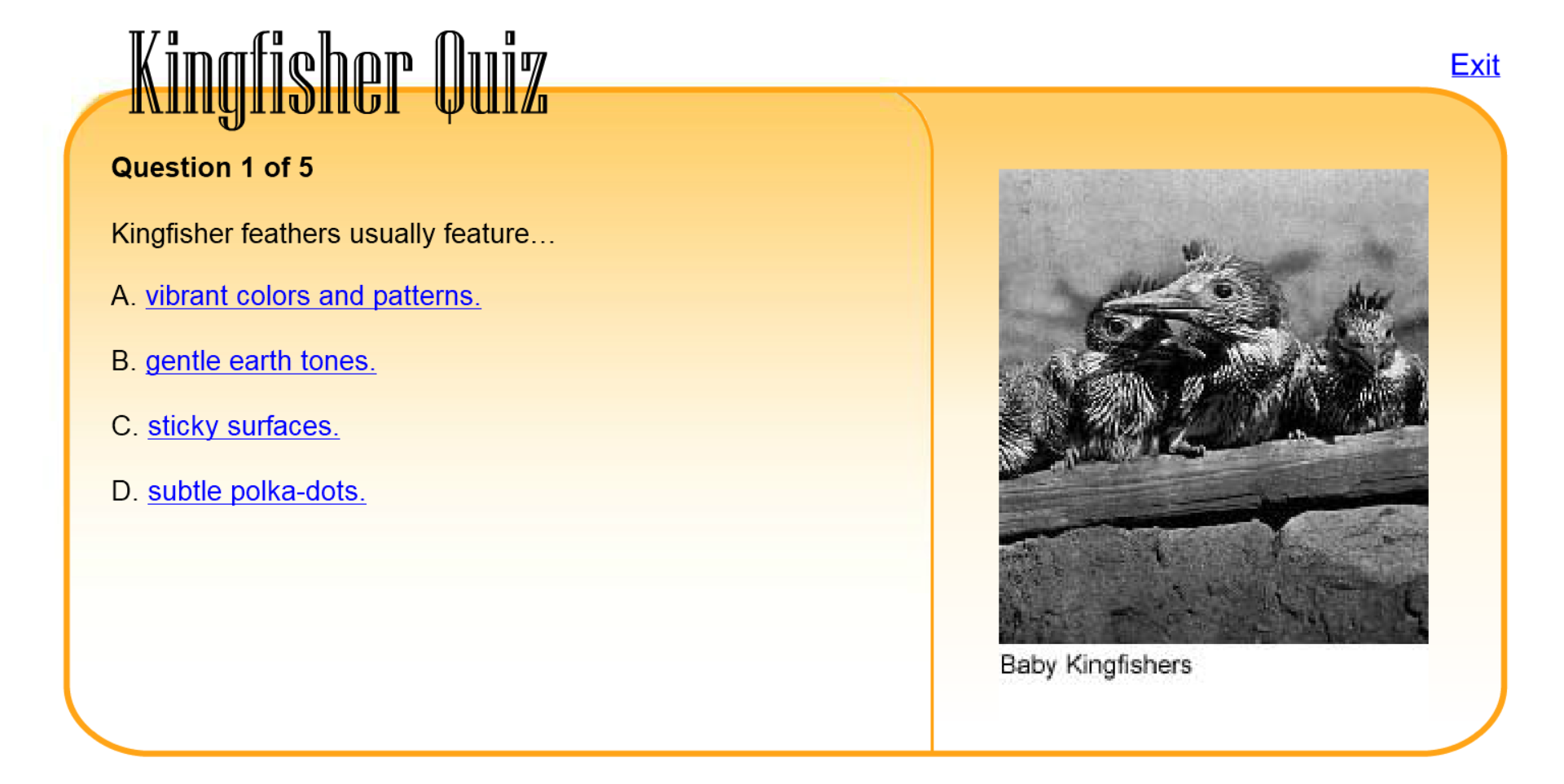 Kingfisher Quiz