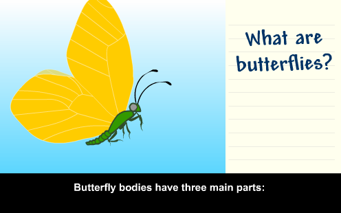 Butterflies: with Annie & Moby