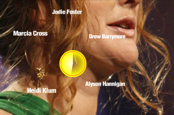 Extreme Celeb Closeup 1