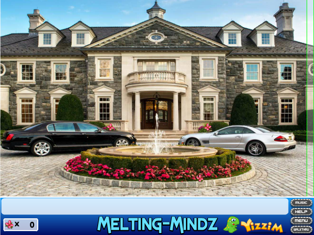 Sneaky Search: Wildflowers