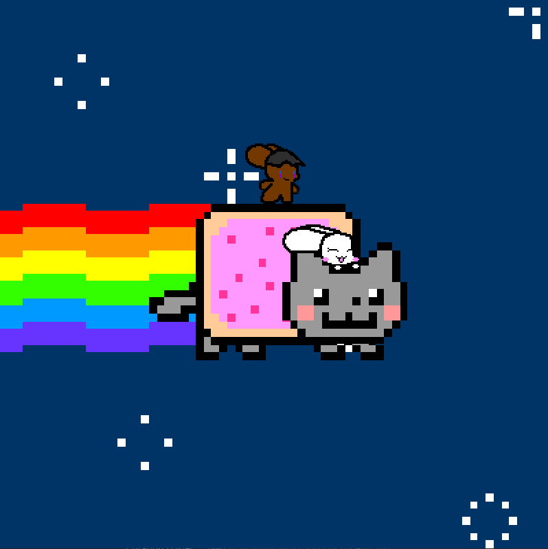 White And Shade Rides Nyan Cat