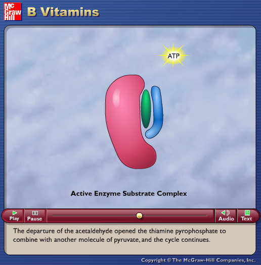 B Vitamins