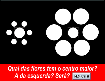 Duas flores, uma pergunta.