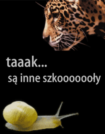 Ogólnopolski Ośrodek Rozwoju Zawodowego Progres Banner Ad