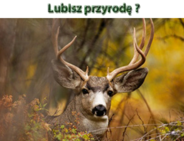 Wypoczynek z naturą Banner Ad