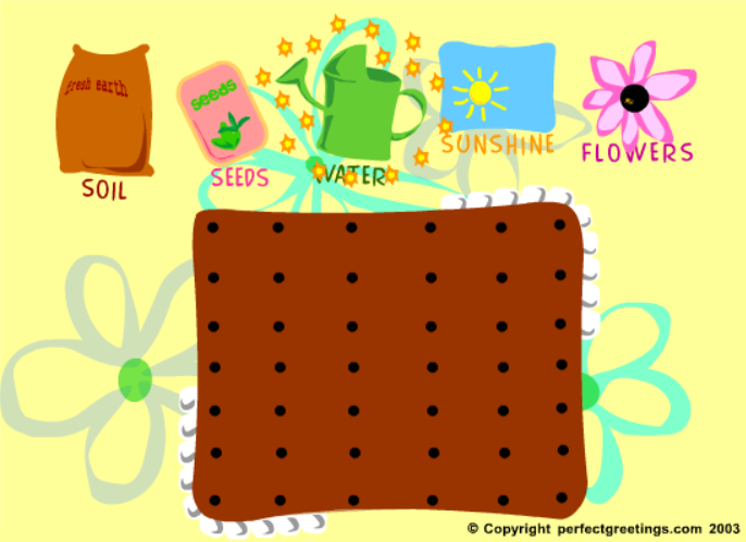 Create Your Own Summer Garden