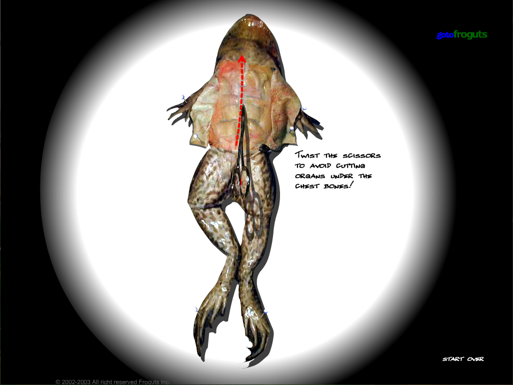 Froguts.com Virtual Frog Dissection
