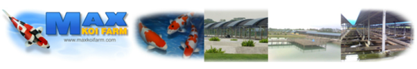 Max Koi Farm Website Banner