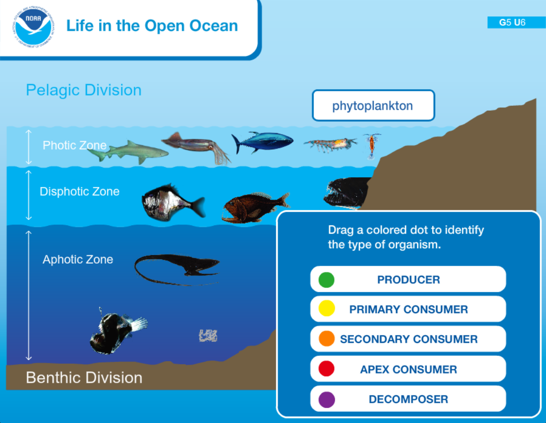 Life in the Open Ocean