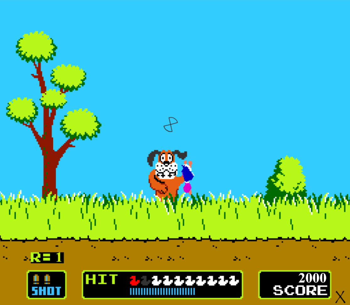 Duck Hunt