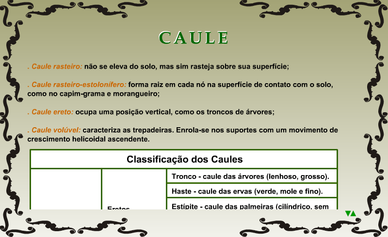 Caule