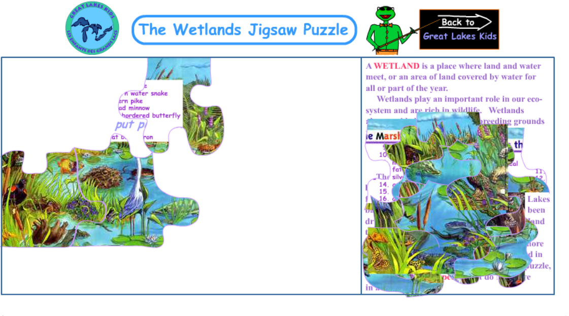 The Wetlands Jigsaw Puzzle