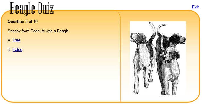 Beagle Quiz