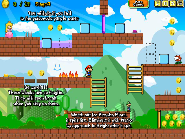 Mario Partner Adventure