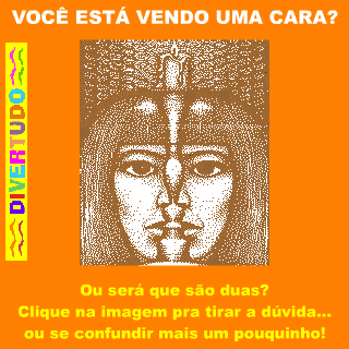 Você está vendo uma cara?