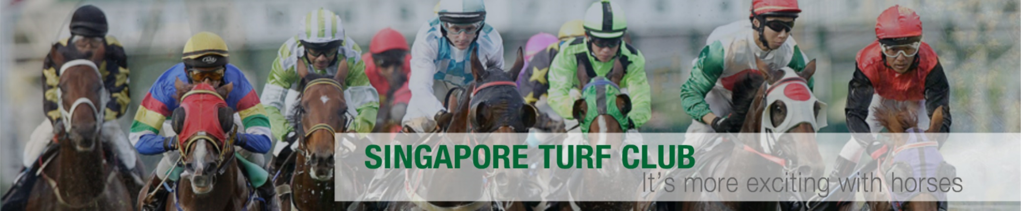 Singapore Turf Club 2007 Website Banner