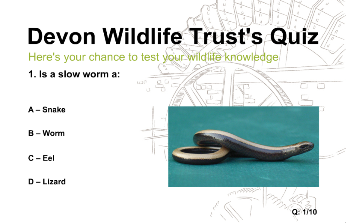 Devon Wildlife Trust's Quiz One